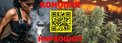 дмт Аша
