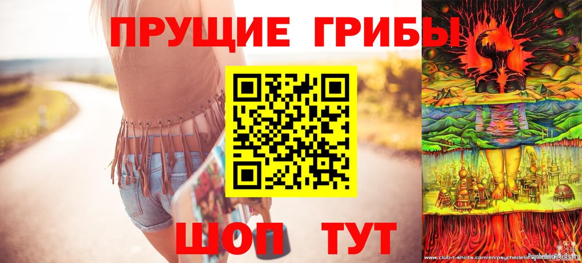 где купить   Псилоцибиновые грибы ЛСД  Вход с VPN  Псилоцибиновые грибы прущие грибы  Егорьевск 
